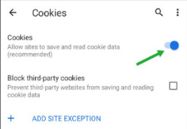 stop safari blocking cookies